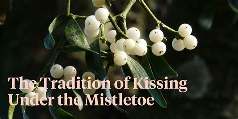 The Spiritual Significance of Mistletoe Magic in Modern-Day Practices